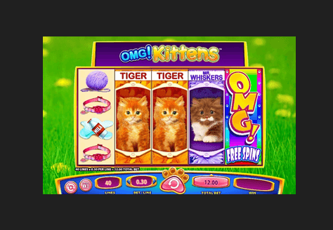 OMG Kittens Internet Pokies